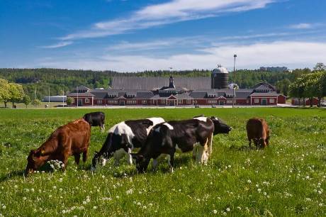 DELAVAL: